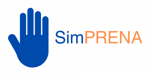 SimPRENA Project and the challenges of a violent healthcare environment ...